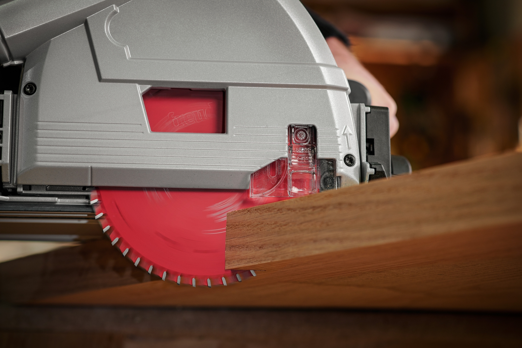 Image freud_28408.jpg Image image.jpg